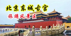 男生捅女生穴的网站中国北京-东城古宫旅游风景区
